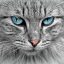 小飞猫的头像，在天空中飞翔的猫