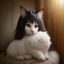 猫友阿花评论头像